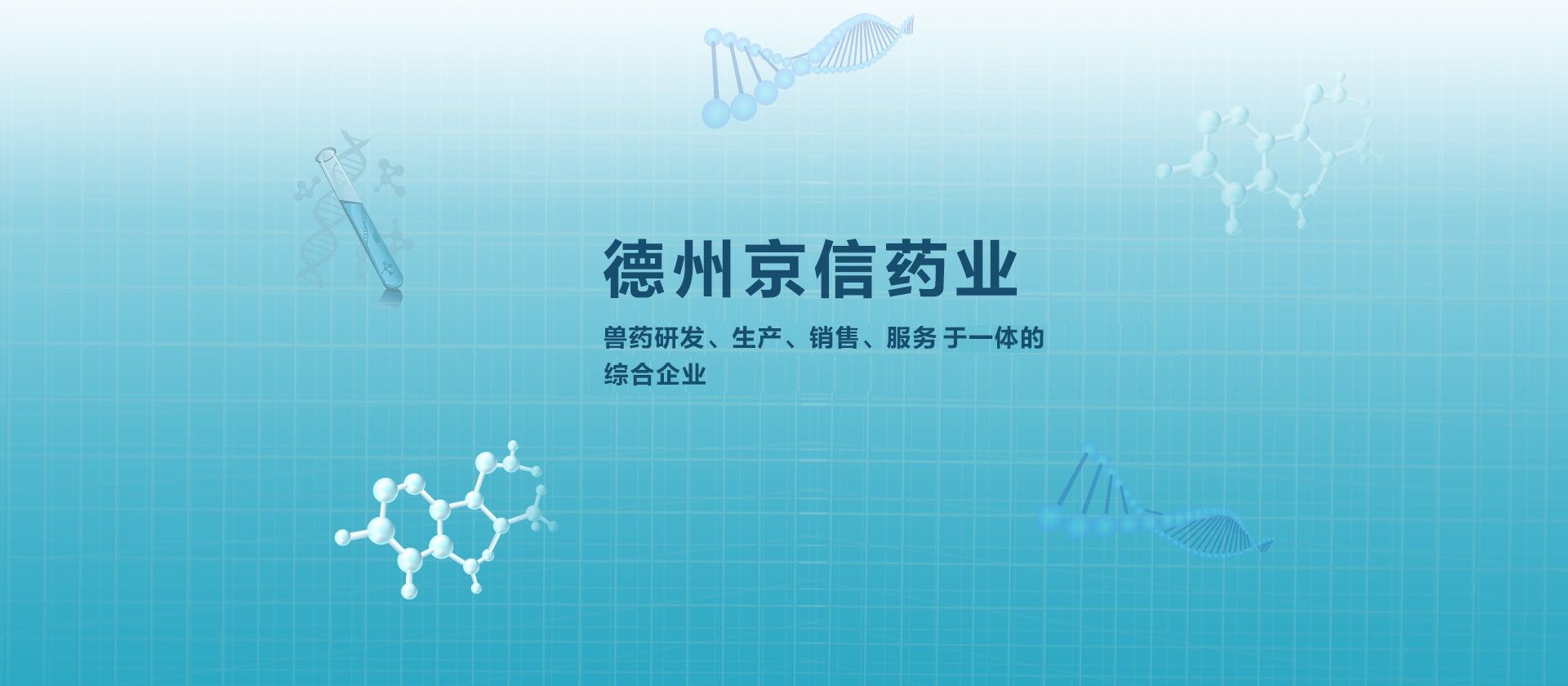 首页轮播图1
